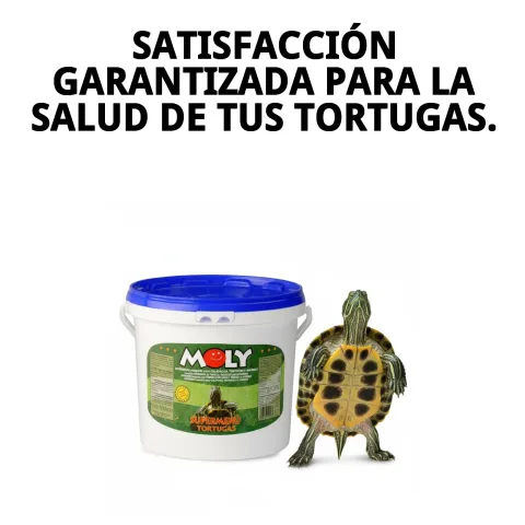 Tortue aquatique en bonne santé grâce à Moly Menu