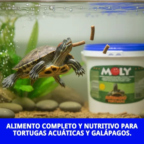 Détail de l'aliment Moly Menu pour tortues aquatiques