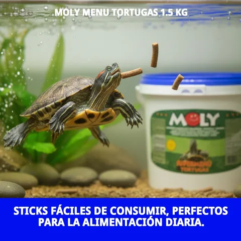 Tortue aquatique mangeant Moly Menu