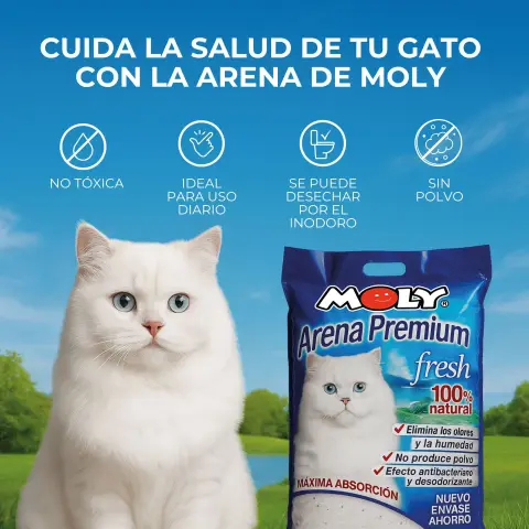 Gros plan sur les particules douces de la litière Moly Premium