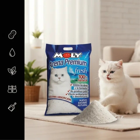Litière pour chats dans une caisse propre et bien tenue