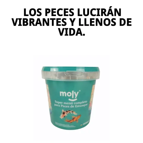 Conditionnement fermé MOLY Super-Menu Estanque 140 gr