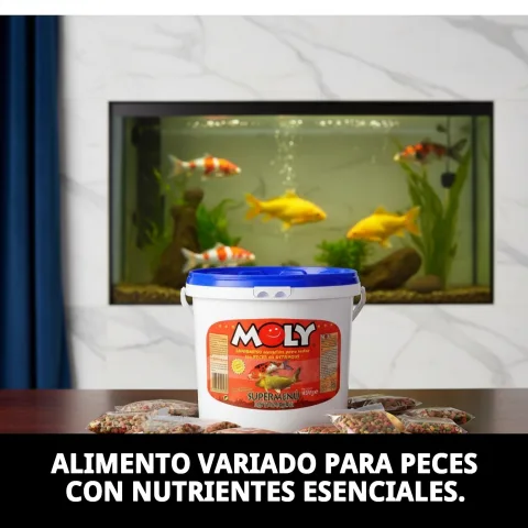 Poissons de bassin nourris avec MOLY Super-Menu