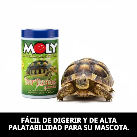 Bote cerrado de MOLY Tortugas Terrestres para conservación óptima