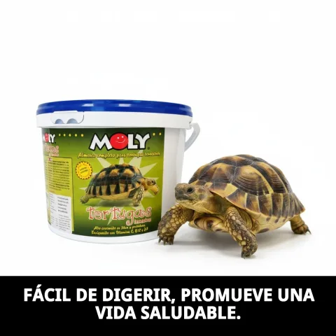 Tortuga terrestre comiendo sticks MOLY