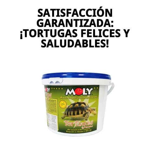 Envase cerrado de MOLY tortugas terrestres 2,5 kg