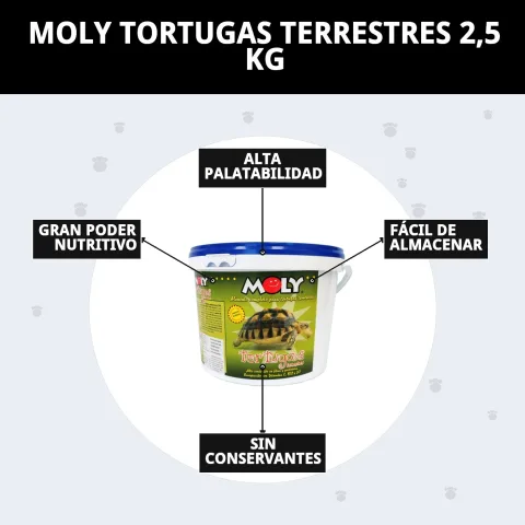 Alimento natural para reptiles terrestres en Mar Mascotas