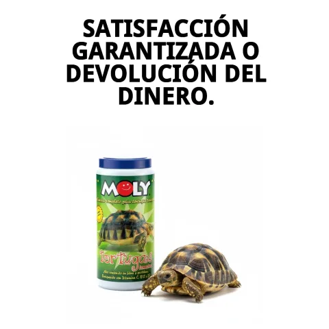 Bote de 1 litro de MOLY para tortugas terrestres con tapa