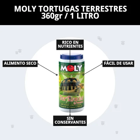 Alimento MOLY para tortugas terrestres listo para servir