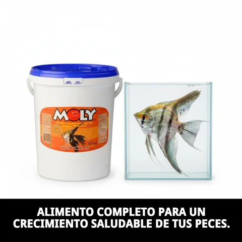 Détail du contenu MOLY TROPICALES 1 kg