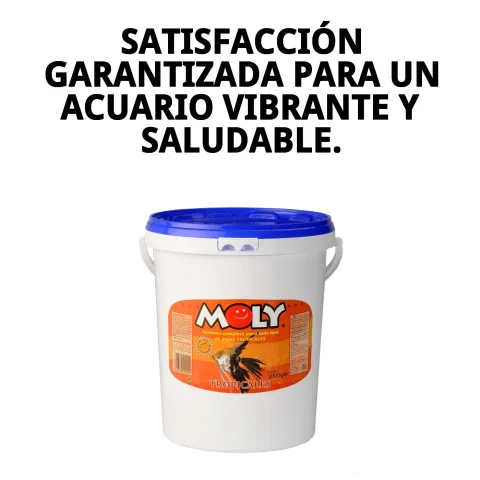 Emballage fermé MOLY TROPICALES 1 kg pour conservation