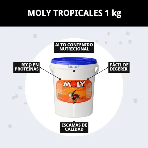 Aliment pour poissons tropicaux MOLY TROPICALES chez La Tribu Animale