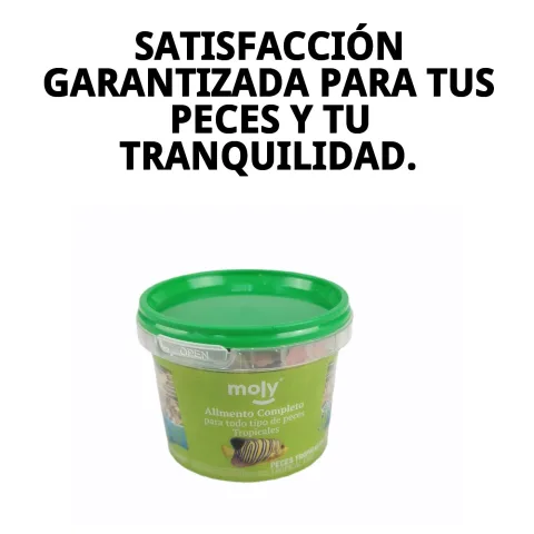 MOLY TROPICALES en petit pot pour un transport facile