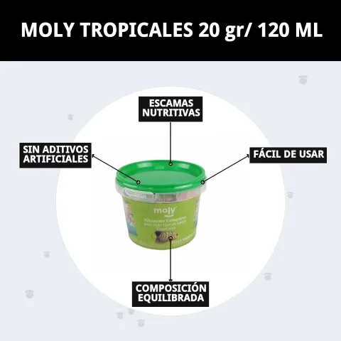 Alimentation saine pour poissons tropicaux avec MOLY TROPICALES