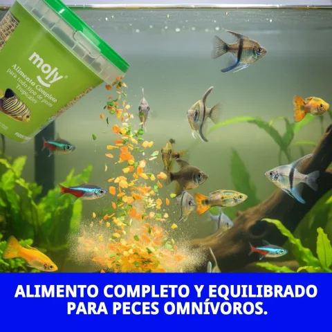 Aliment pour poissons tropicaux MOLY TROPICALES en flacon doseur
