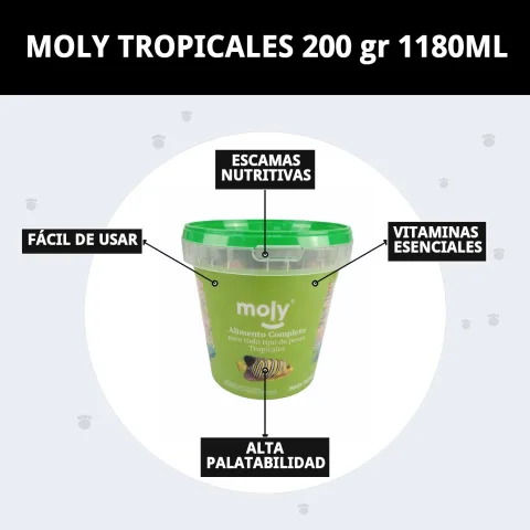 Présentation complète de l'aliment MOLY TROPICALES pour aquarium