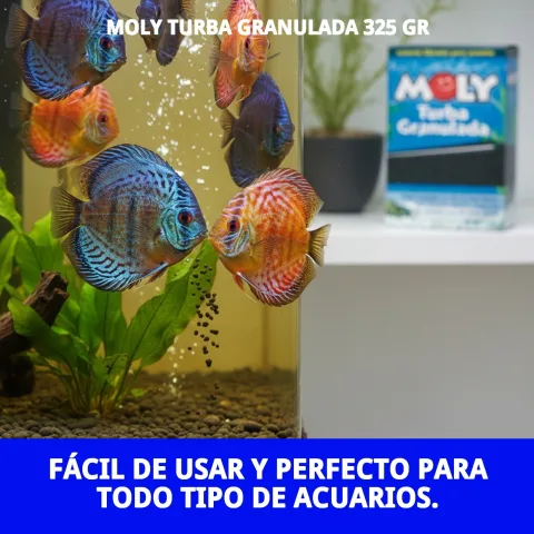 Confort et douceur de la turba granulée pour les pattes de chats