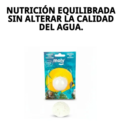 MOLY VACACIONES STICK sur fond neutre pour e-commerce