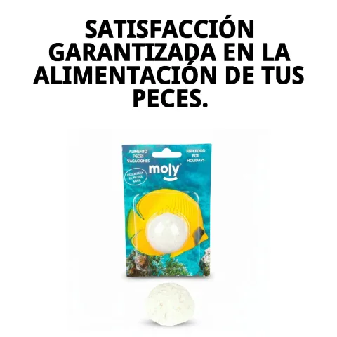 MOLY VACACIONES STICK en main à côté d'un sac de promenade
