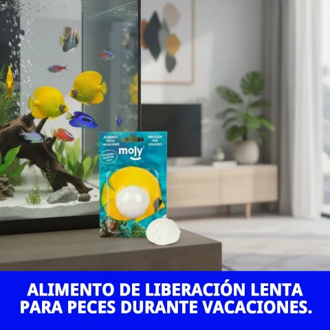 Détail de la texture tendre du MOLY VACACIONES STICK