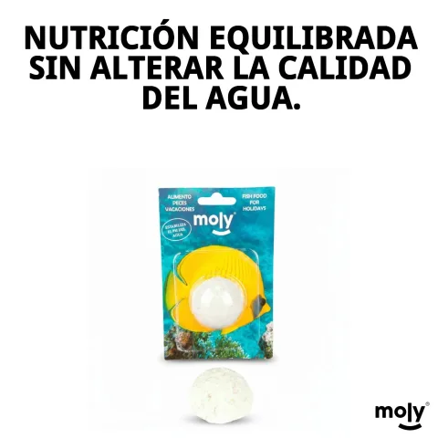 MOLY VACACIONES STICK en main pour évaluer taille et transport