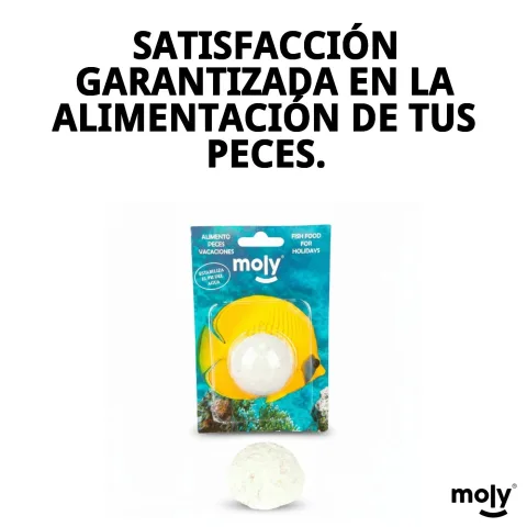 MOLY VACACIONES STICK en extérieur lors d'une promenade