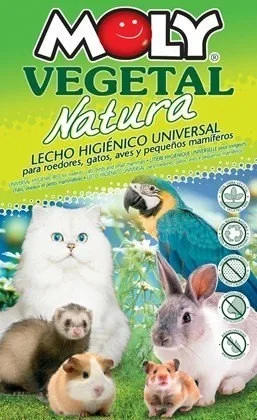 Utilisation du substrat Moly Vegetal Natura en pot avec plantes en bonne santé