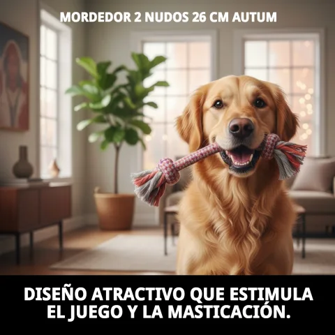 Mordedor en corde naturelle pour hygiène dentaire canine