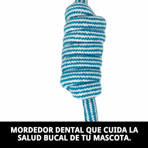 Perro jugando con mordedor dental Navy 45 cm en exterior