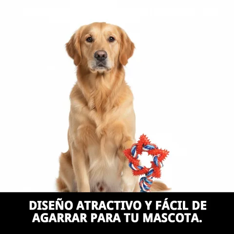 Jouet mordeur avec design étoile pour massage des gencives canines