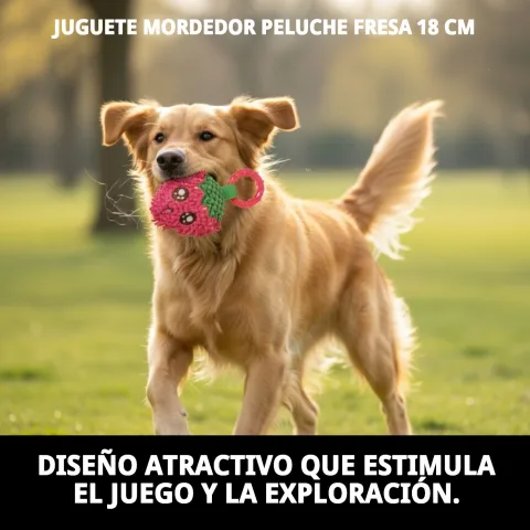 Jouet mordeur fraise pour chiens en taille compacte