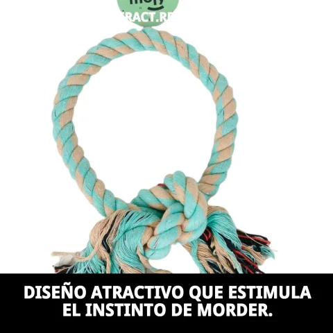 Mordedor redondo Avocat Nudo en superficie blanca