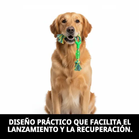 Chien de grande taille jouant avec le mordeur lanceur WOW dans un parc