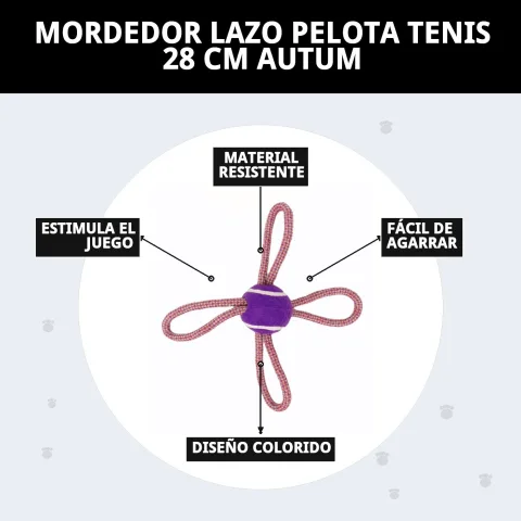 Jouet mordeur lasso balle tennis adapté à un usage intérieur et extérieur