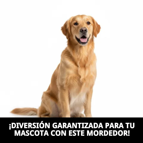 Détail de la corde tressée 100 % coton du mordeur pour chiens