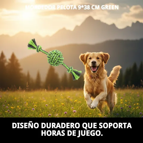 Jouet mordeur avec corde pour jeux de tir à la corde avec chiens