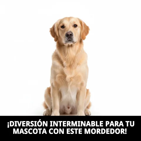 Corde tressée résistante du mordeur pour chiens WOW