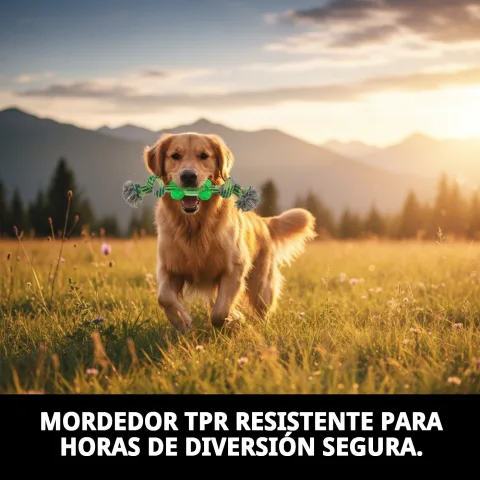 Chien jouant avec mordeur TPR 26 cm Green Moly en extérieur