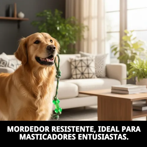 Chien jouant avec mordeur TPR résistant vert