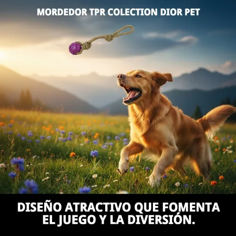 Chien mordant le jouet TPR Collection Dior Pet
