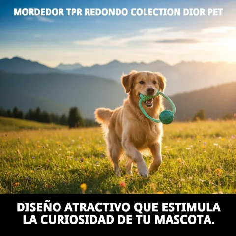 Vue latérale du mordeur TPR rond pour chiens