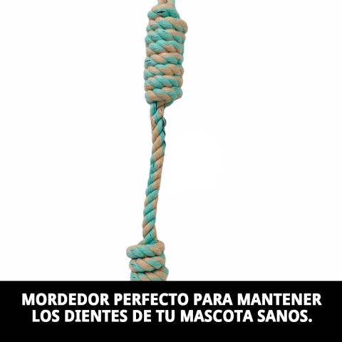 Perro jugando con mordedor Avocat en el jardín