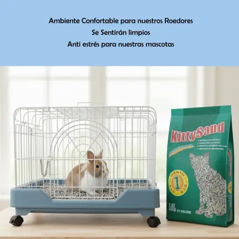 Litière écologique dans une cage avec hamster et accessoires