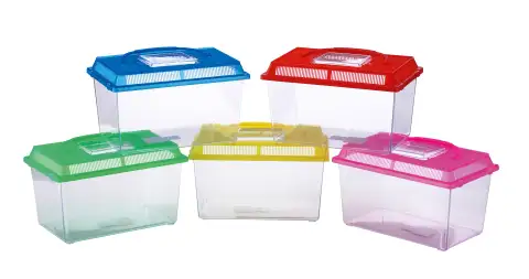 PECERA DE PLÁSTICO MOLY PEQUEÑA 18 X 11 X 14 CM CON TAPA Y ASA | ACUARIO PORTÁTIL PARA PECES ORNAMENTALES