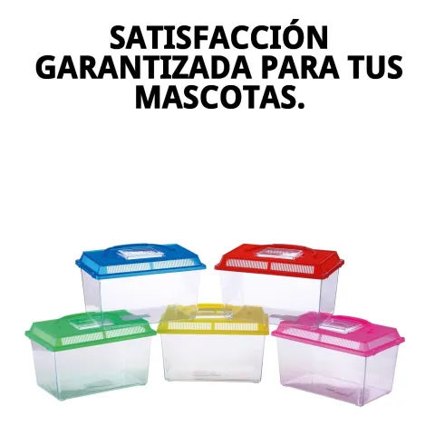 Comparativa tamaño pecera con mano para referencia