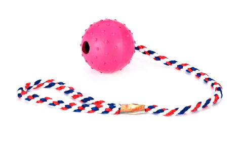 Vista lateral de pelota mordedora con ramal de nylon