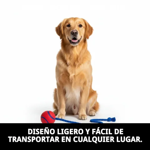 Pelota con ramal para facilitar lanzamiento y agarre