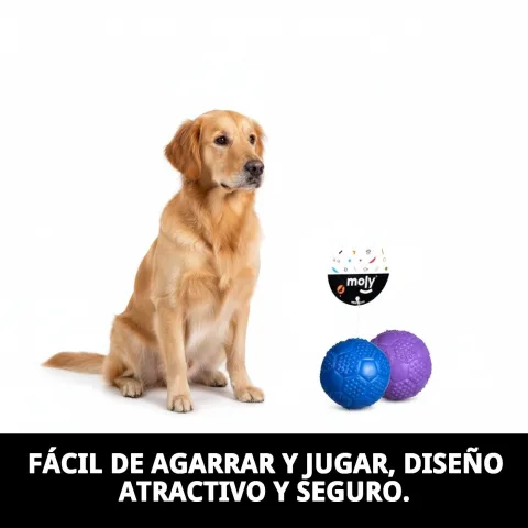 Perro mordiendo pelota lila de caucho con sonido