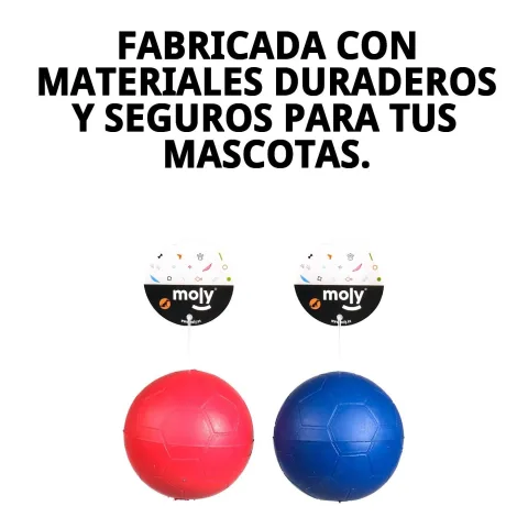 Perro jugando con pelota de caucho con sonido en exterior