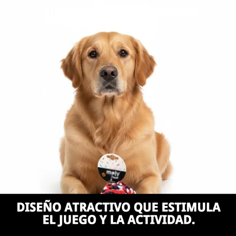 Pelota mordedor algodón en superficie blanca